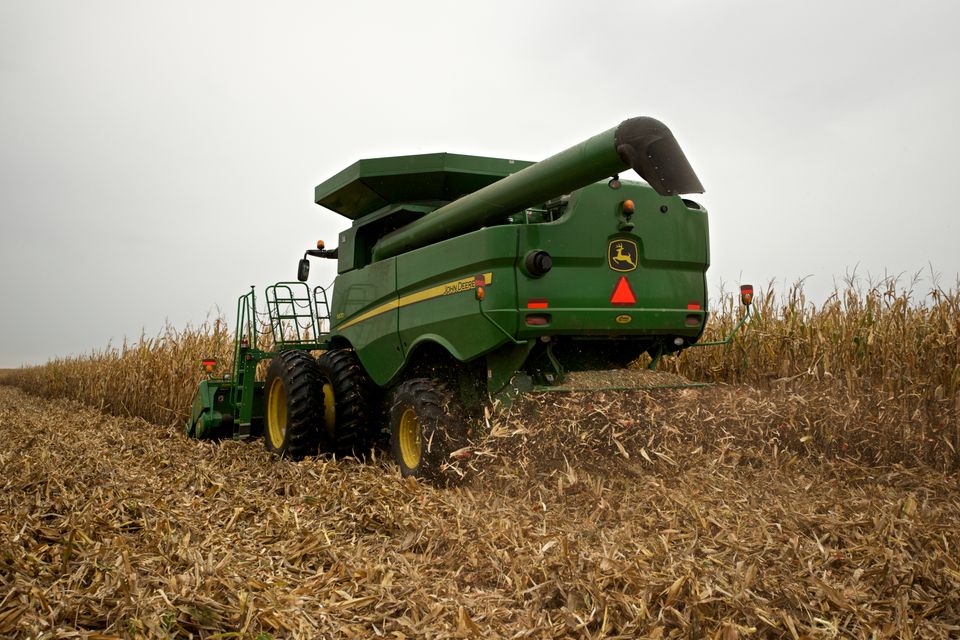 Precisionplanting blackolive81