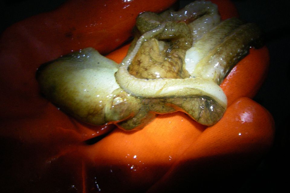 February 02  2013 016