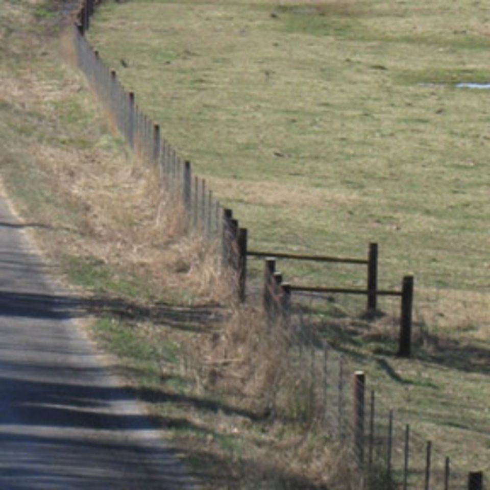 Fieldfenceonestrand6500 1 copy20150602 29144 1gb9dh7