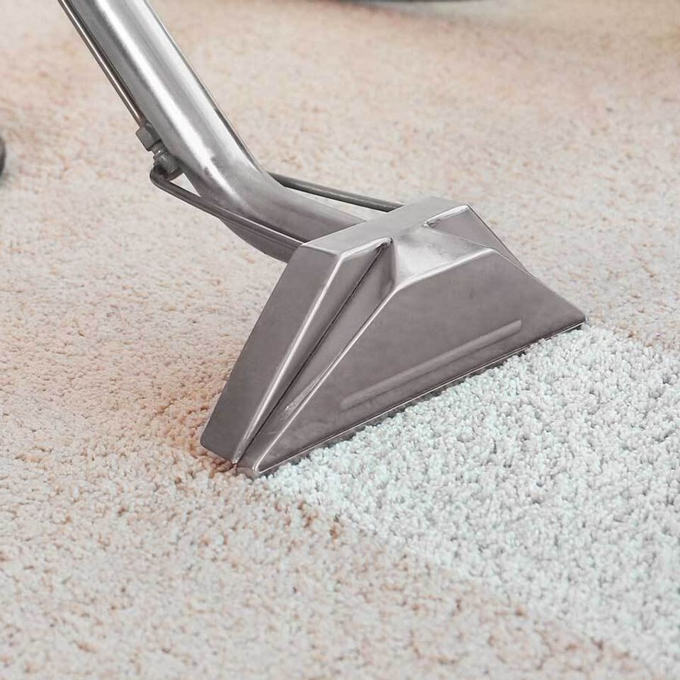 Iconcarpetcleaning2