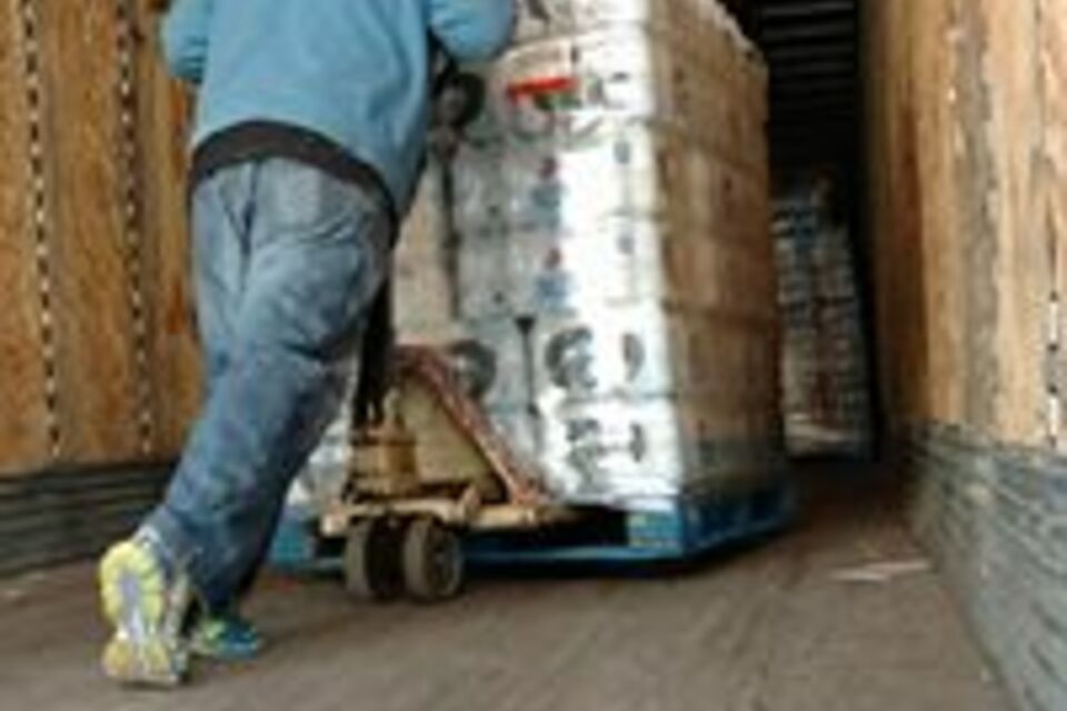 12122529 1384309128261460 8102712580331627009 n 960x960