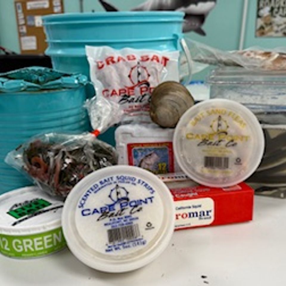 Image4