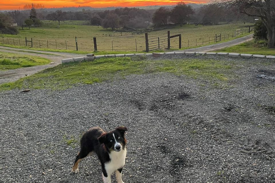 The ranch 1
