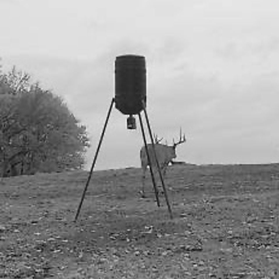 Img 3152