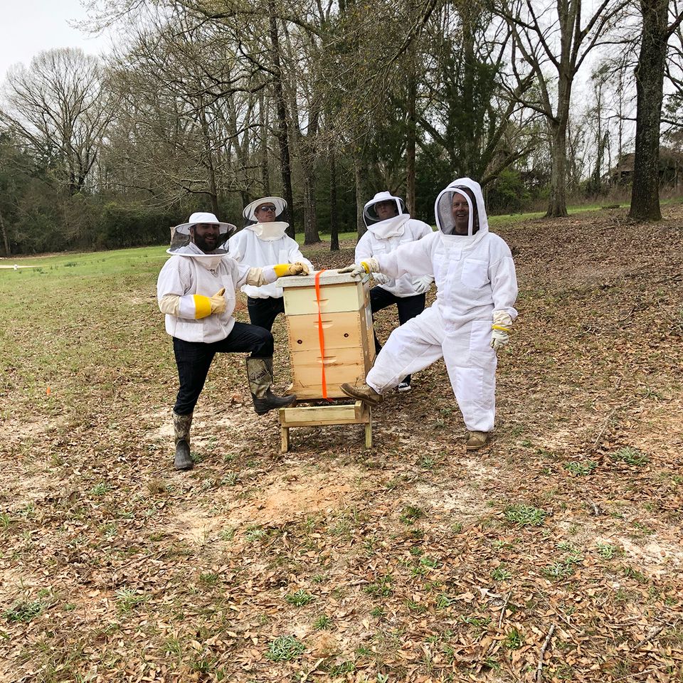 Moving hives