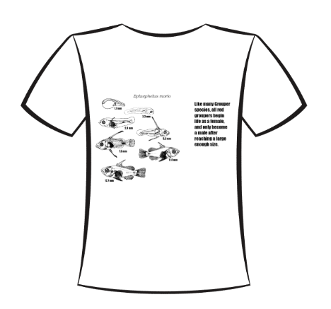 Screenshot 2025 10 27 090929