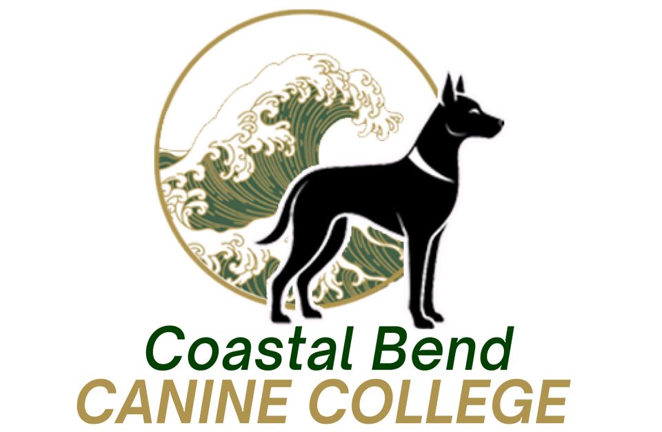 Round logo copy