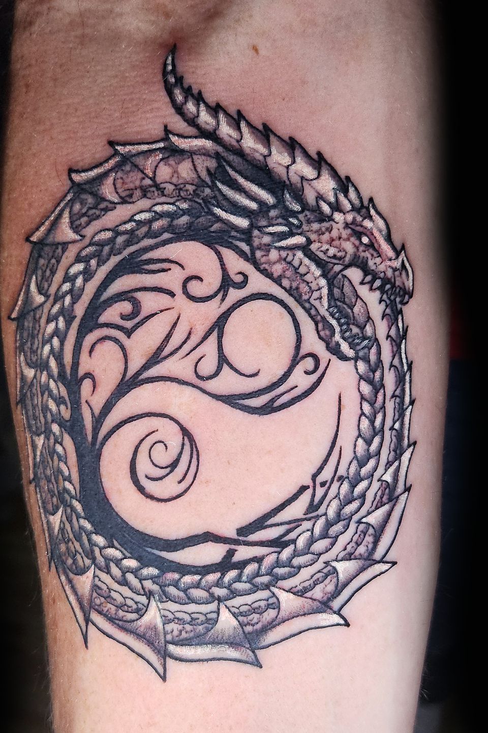 Spence dragon crest