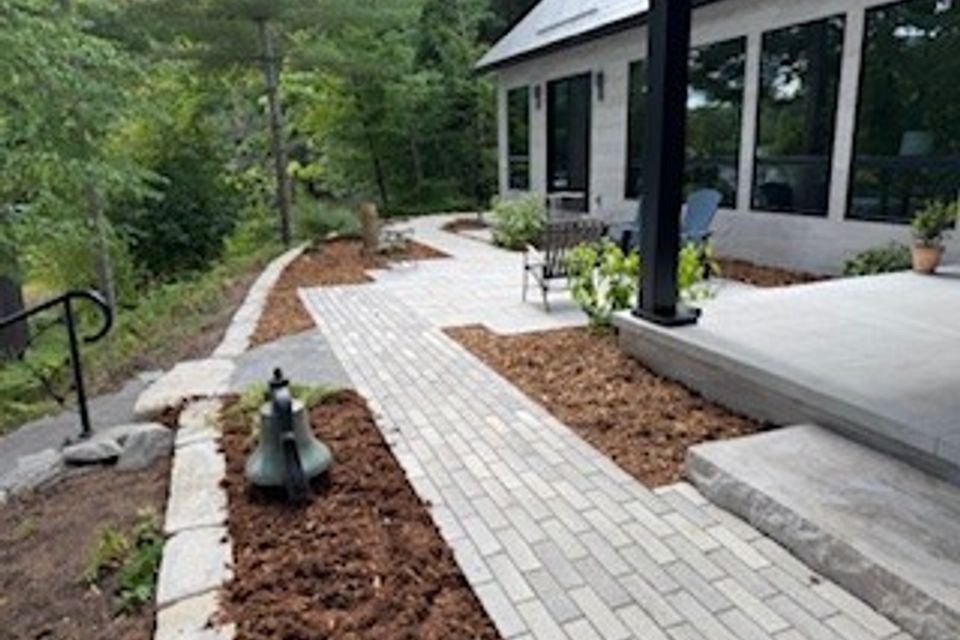 Woods and walkway