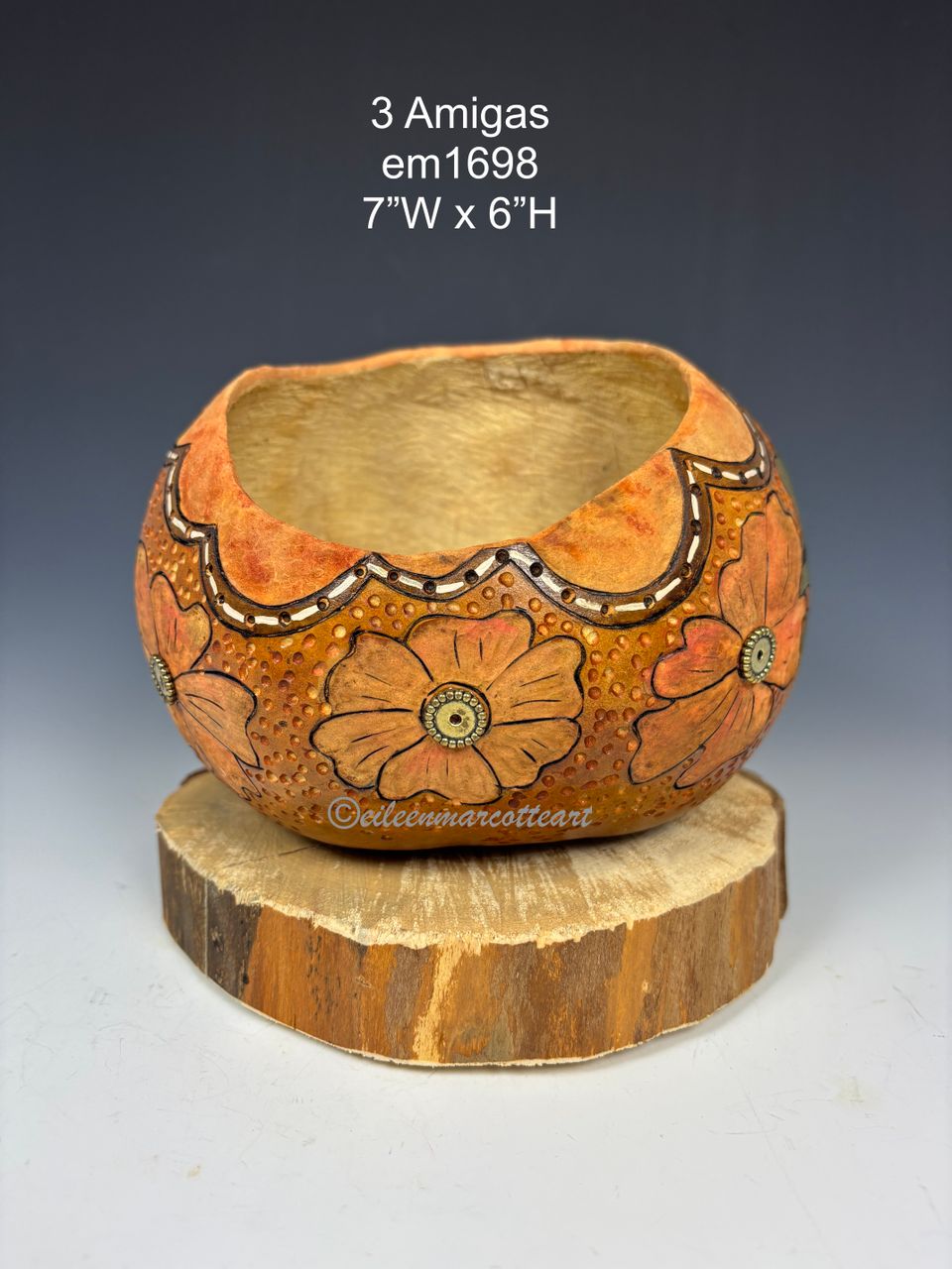 Img 2379