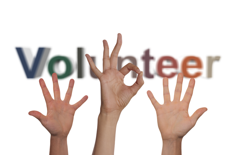 Volunteer gffccf3dd4 1920