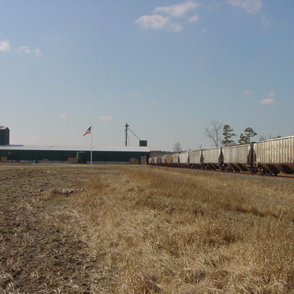 Photo  15
