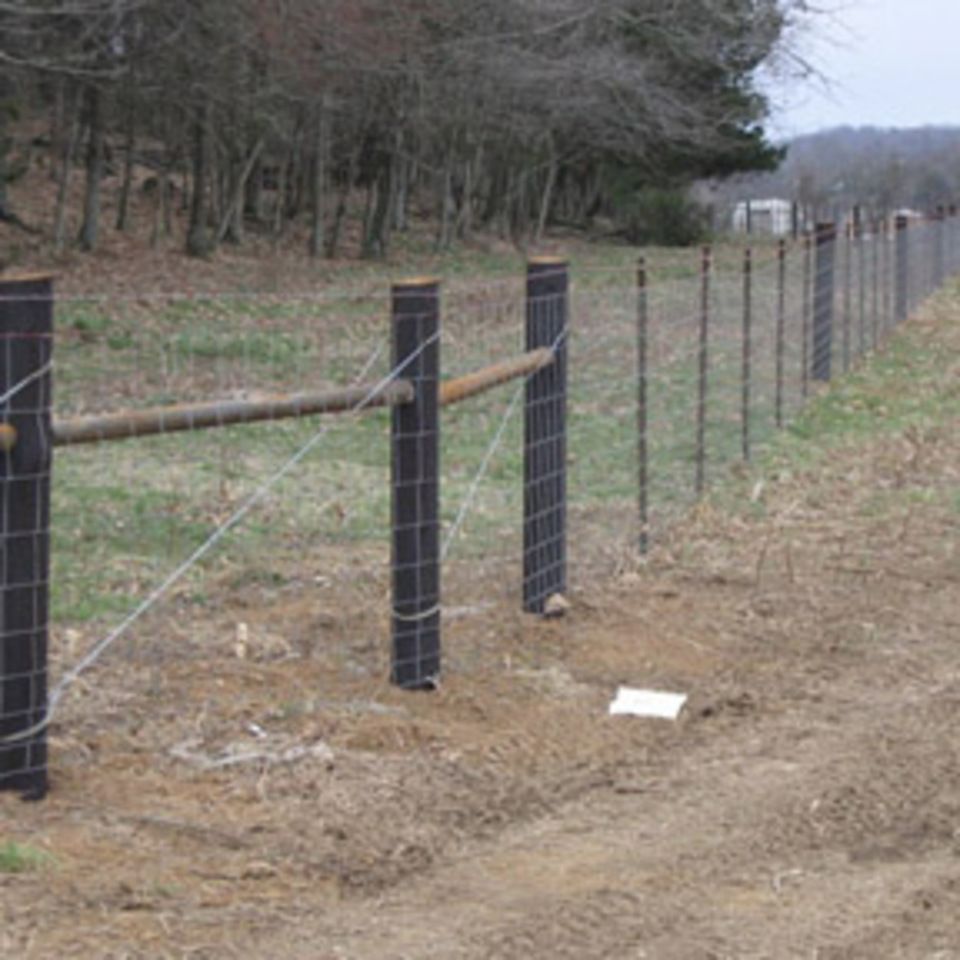 Fieldfenceonestrand6500 420150602 29144 1l9o7op