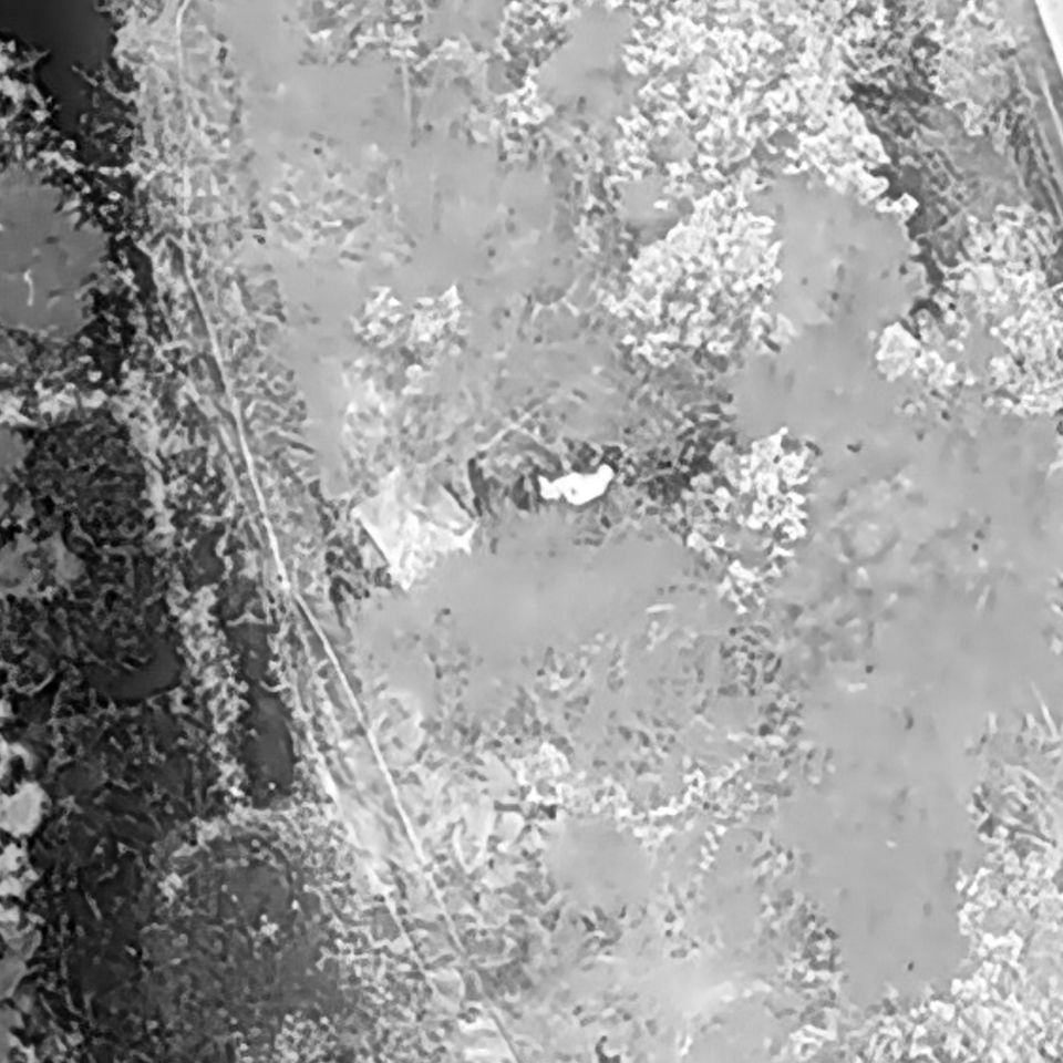 Live aerial support