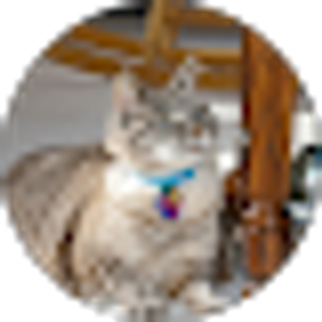 Galactic computers customer laura