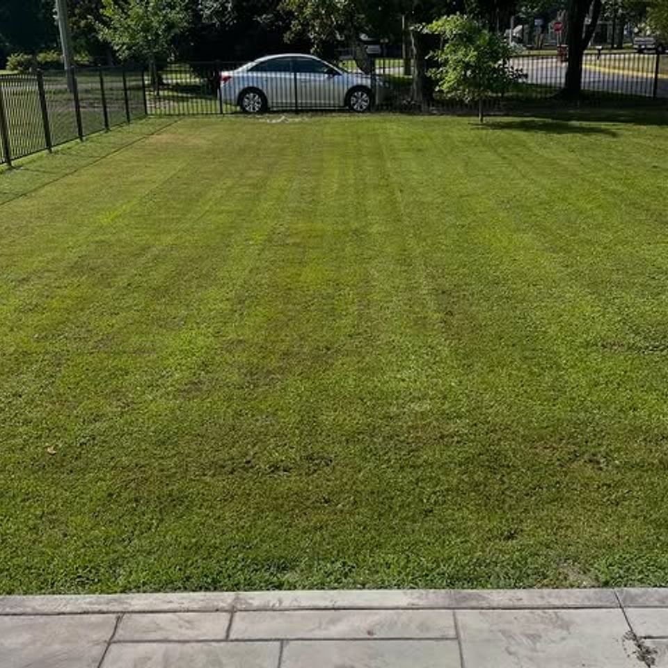 659029239 18065104649404080 2168222884730106304 n.