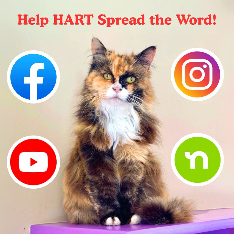 Help hart spread the word! (1)