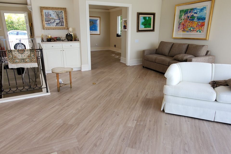 Jdjdjj