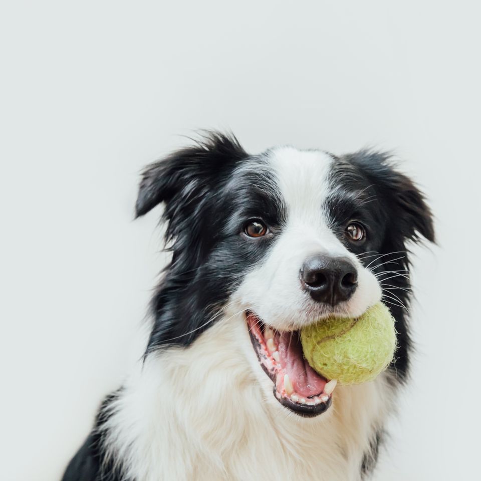 Adobestock 402197664