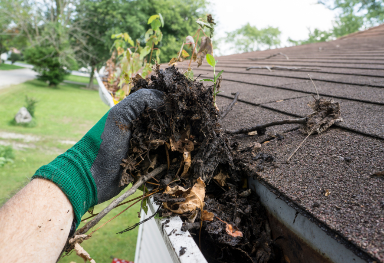 Clogged gutter