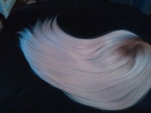 European wig 6