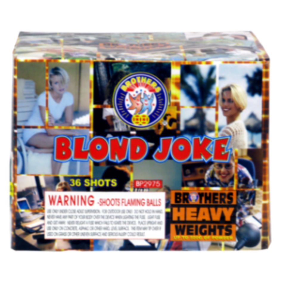 Blond joke cv
