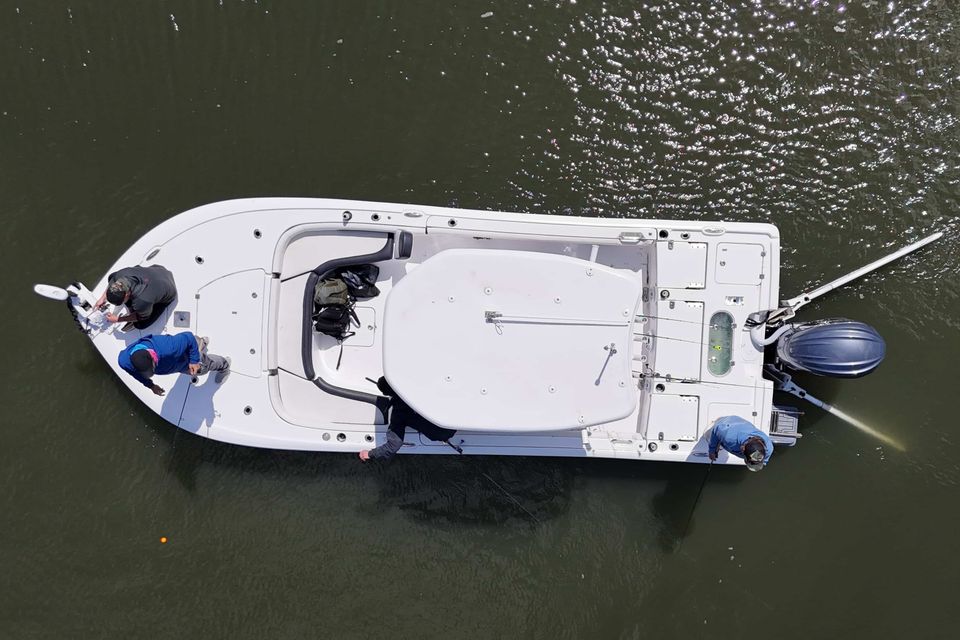 Aerial view of Charleston marshland and waterways