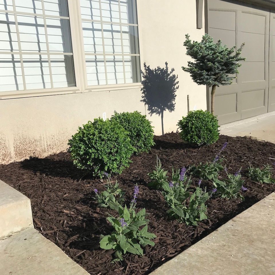 Landscaping solutions   tulsa oklahoma   decorative landscape design   image3