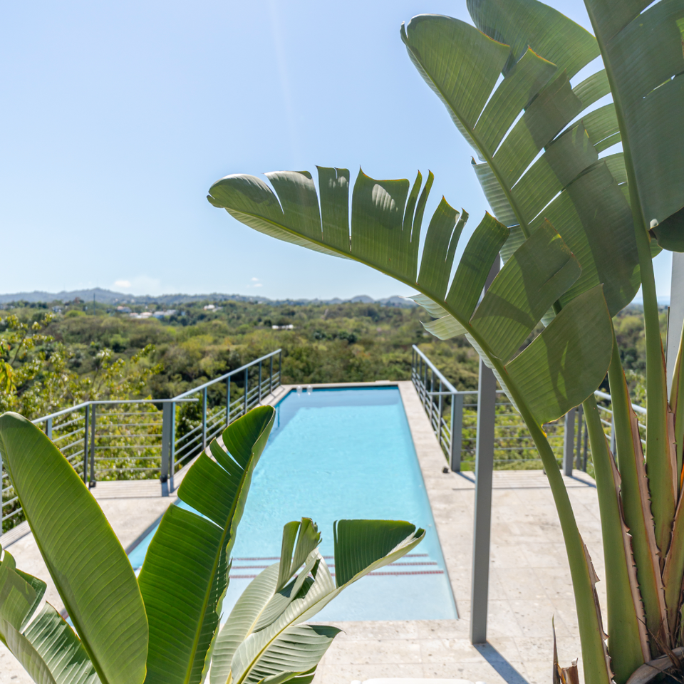 Screenshot 2026 02 23 at 2.16.46 pm