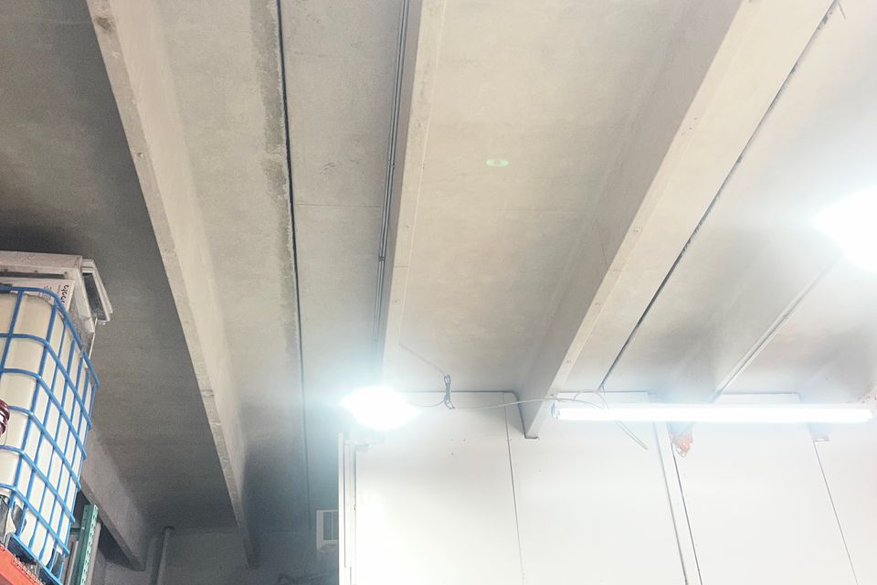 Img 7119
