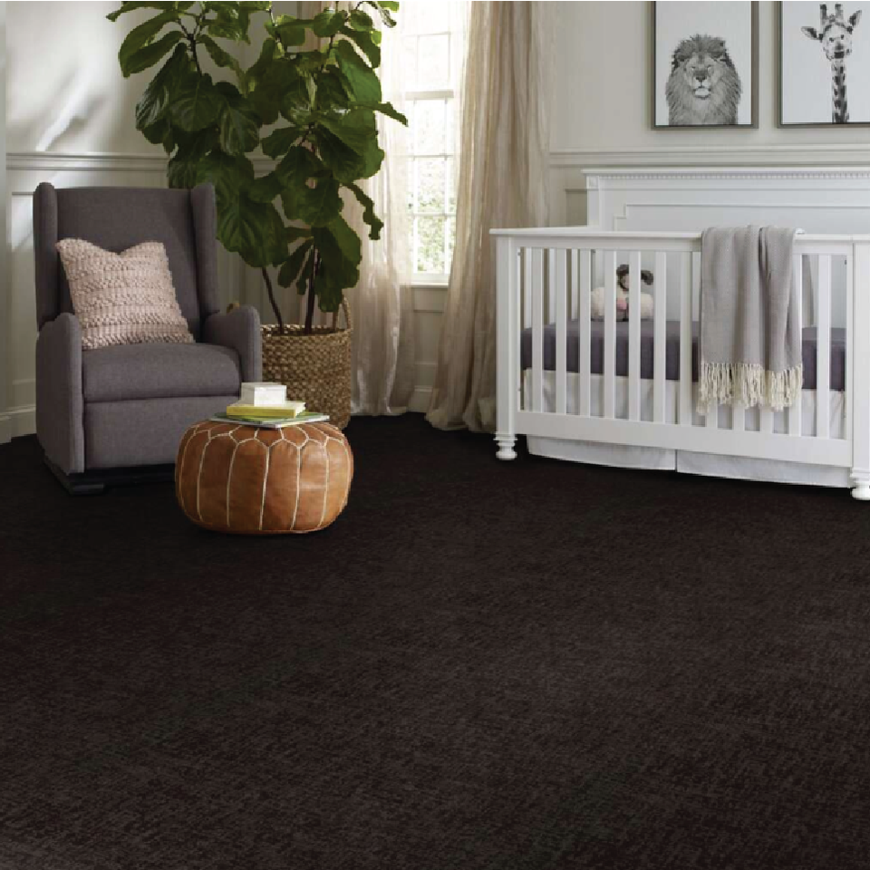 Carpet6