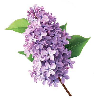 Screenshot 2026 04 27 at 11.30.59 am