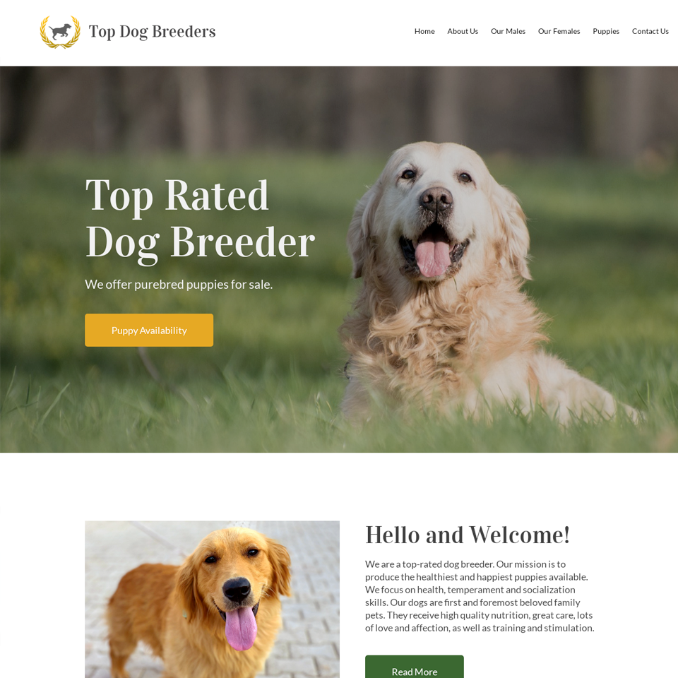 Best dog breeder website design theme