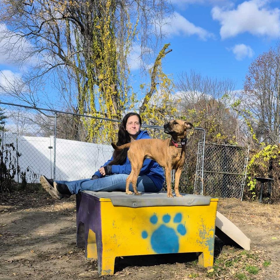 Messenger creation 346cd691 5054 4c86 ad2b 30f0640c8b69 2