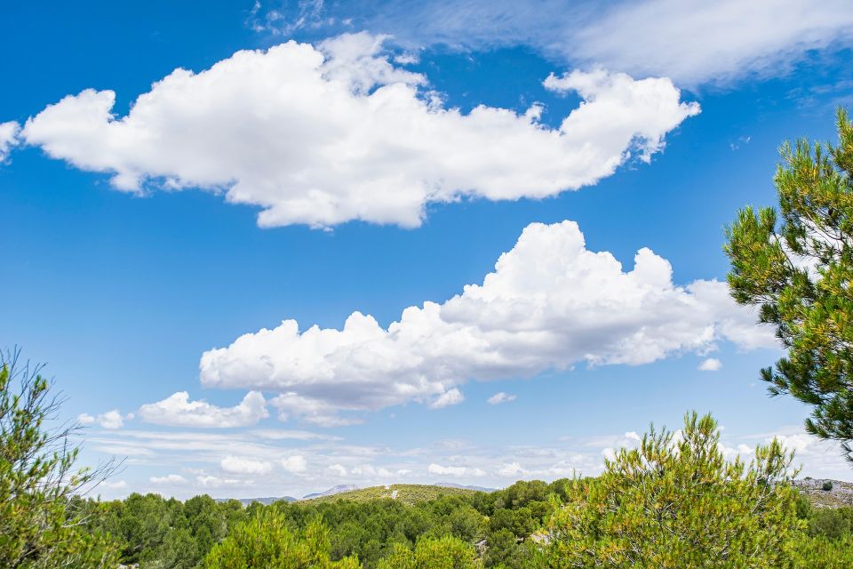 Landscape g7329221a9 1920