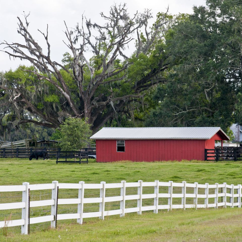 Rc rur white fence 1