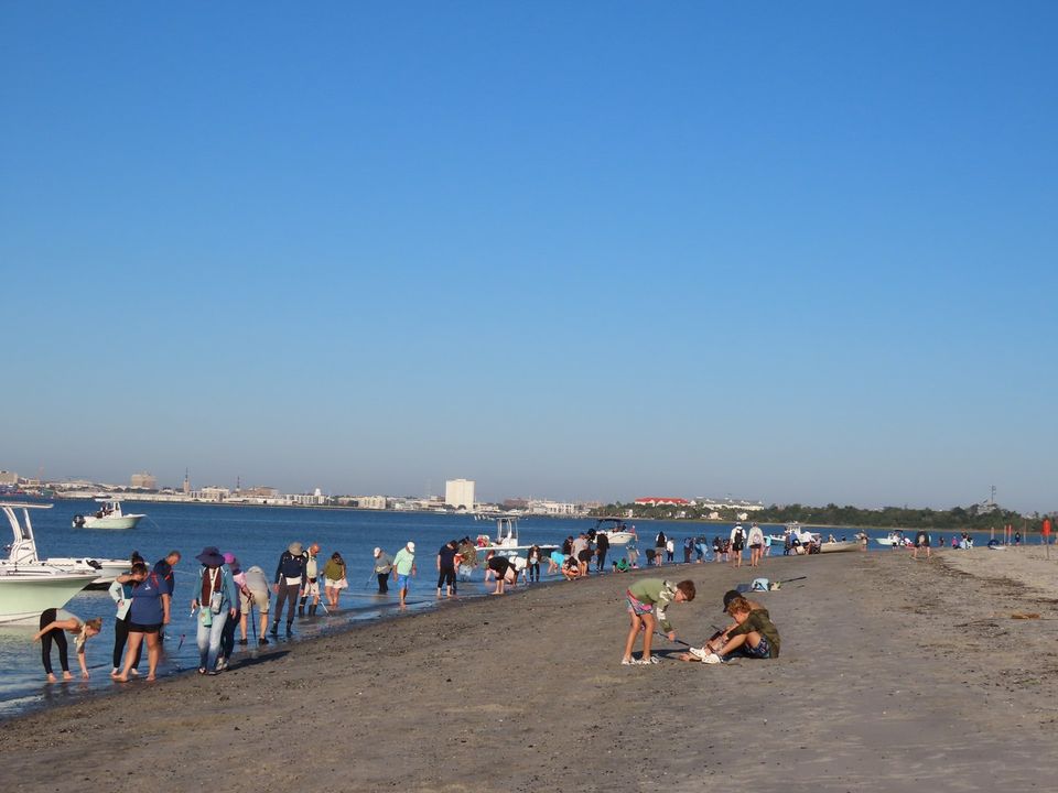 Crab bank rule update