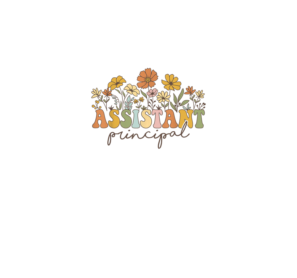 School   assistant principal 