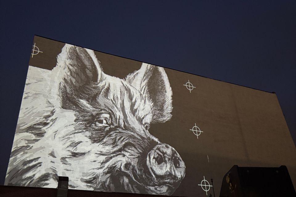 01 wednesdayfullproject