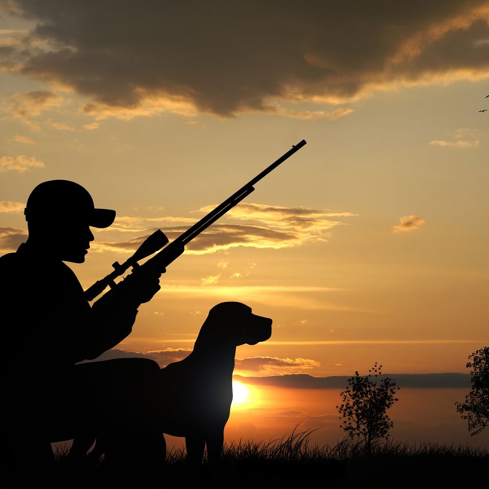 Bigstock hunter 23821505
