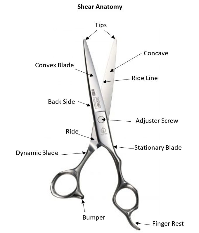 Scissor Doctor | Scissor Sharpening in Las Vegas, NV