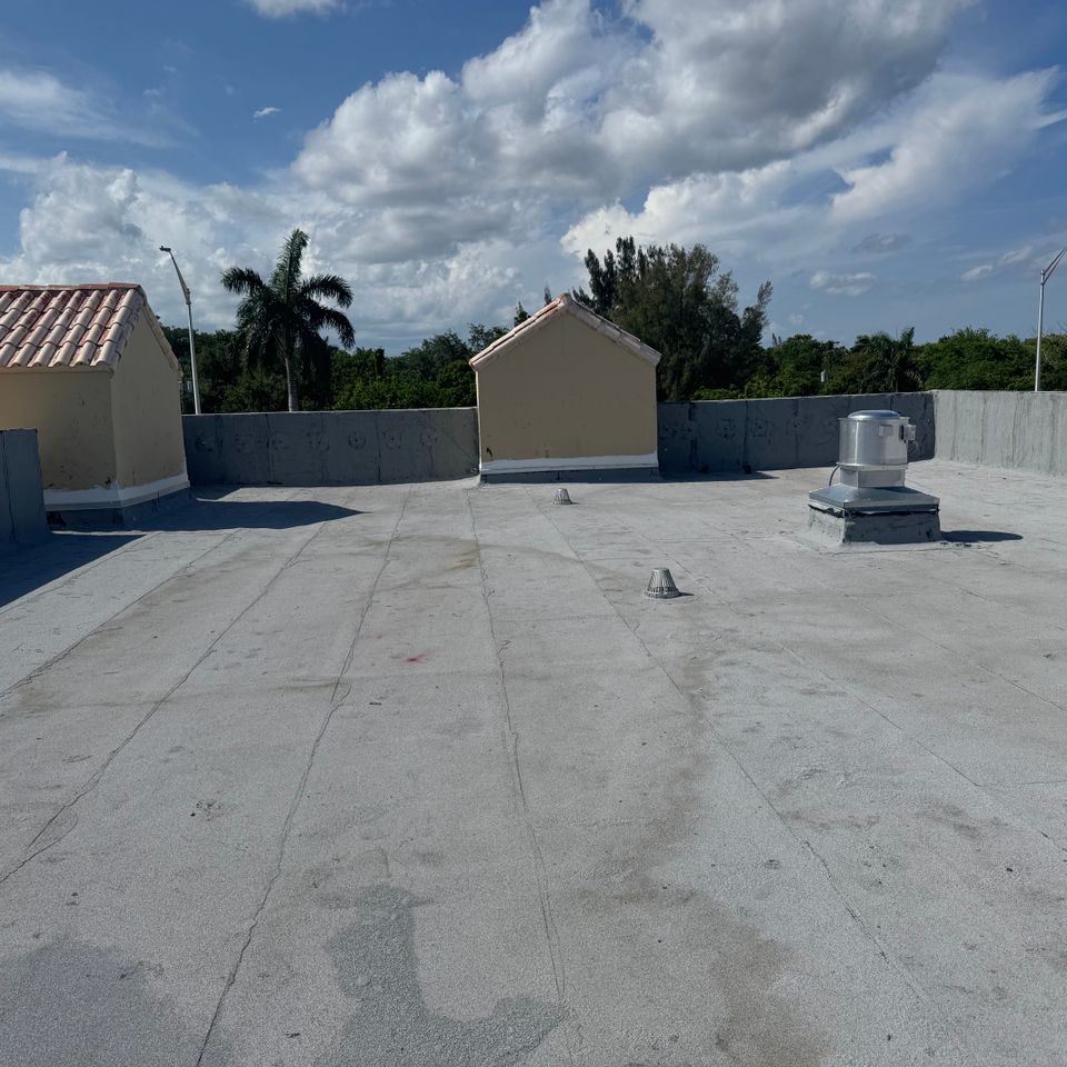 Img 3774