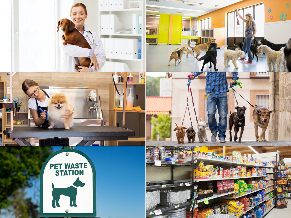 Professional website design for the pet care industry, including vets and groomers.