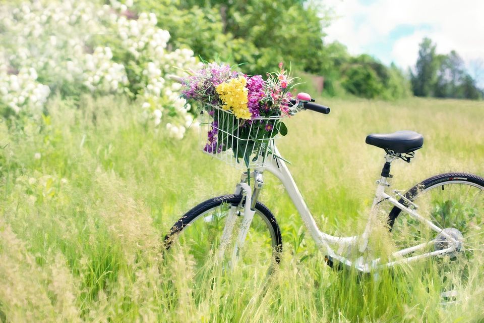 Image of a bicycle in a grassy meadow next to a tree in full spring bloom of whit flowers. The owner of the bike has picked fresh spring flowers and placed them in the basket on the front of the bicydle