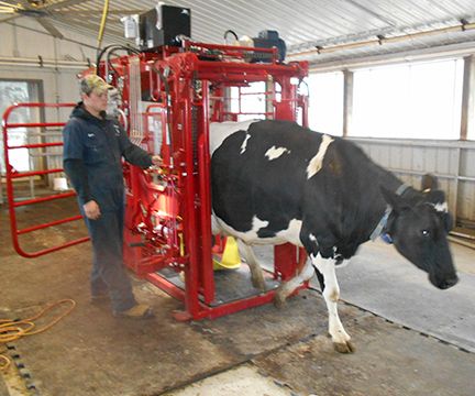 Dairymangallery 5