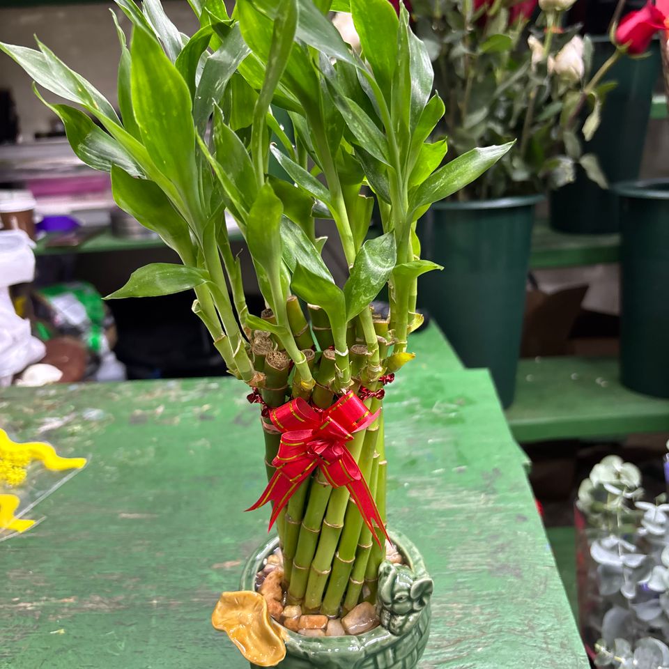 79832180362  e9f70650 9963 42cf 8dcb 5ede2ea8a777