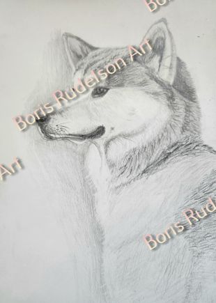 Pencil. Akita