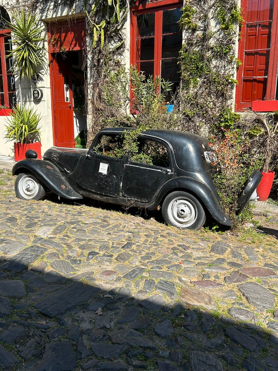 Coloniacar