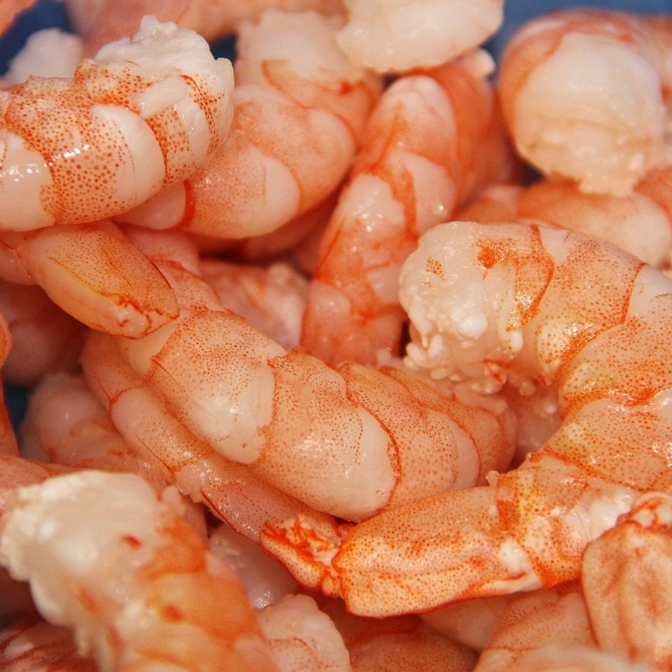 Shrimp gca0522a24 1920