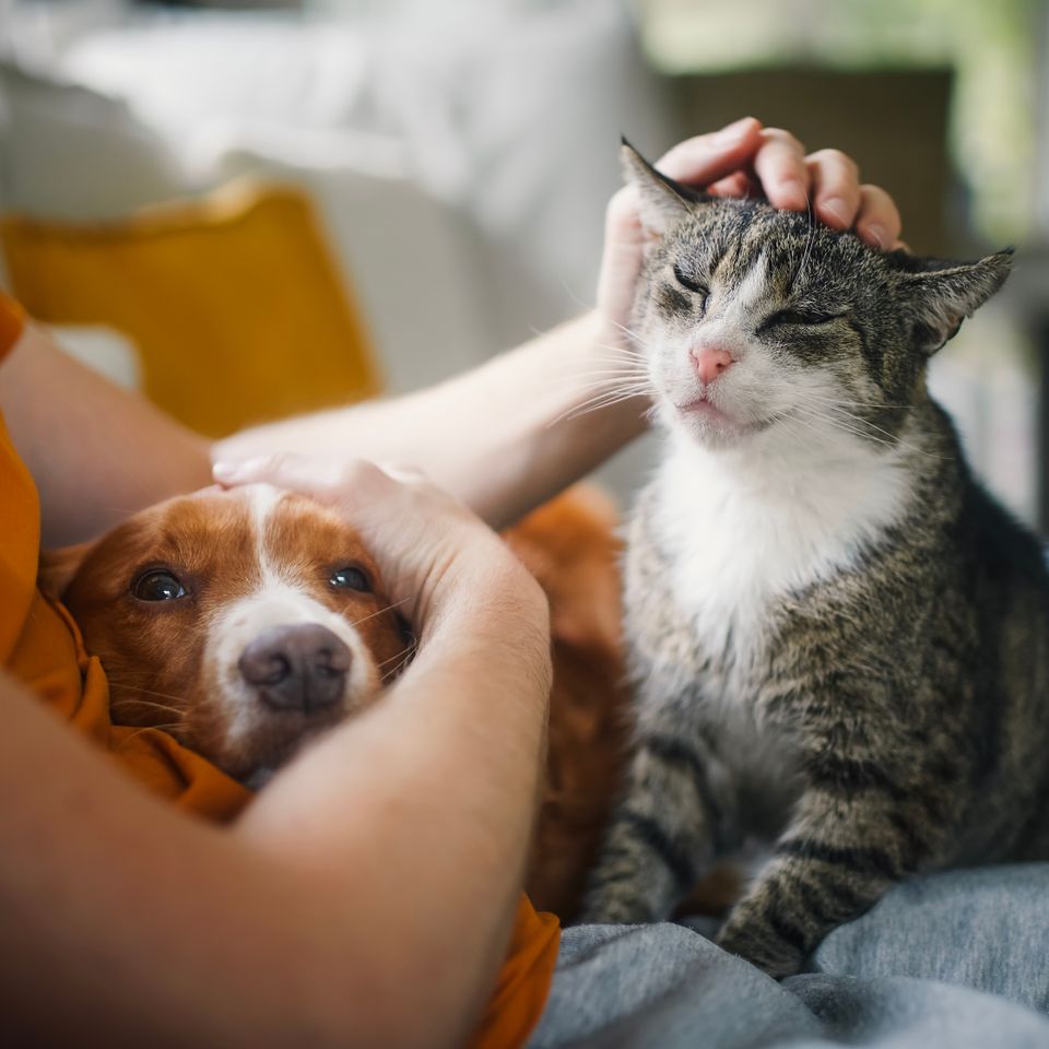 Adobestock 678810943